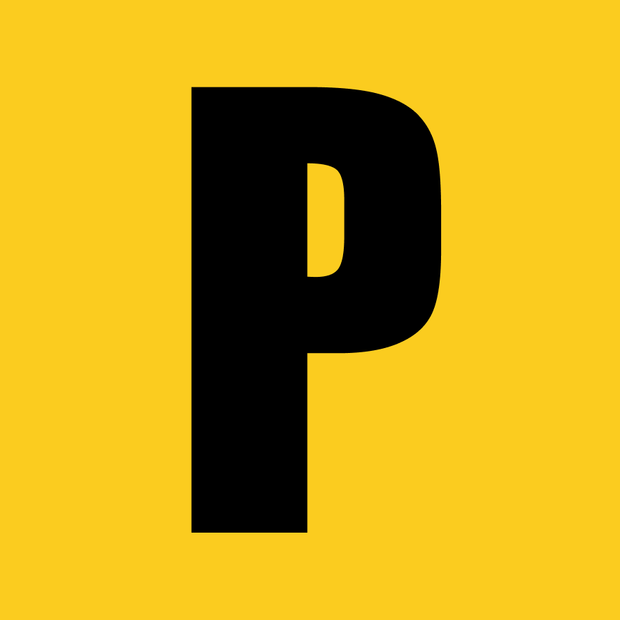 Payge.io Logo